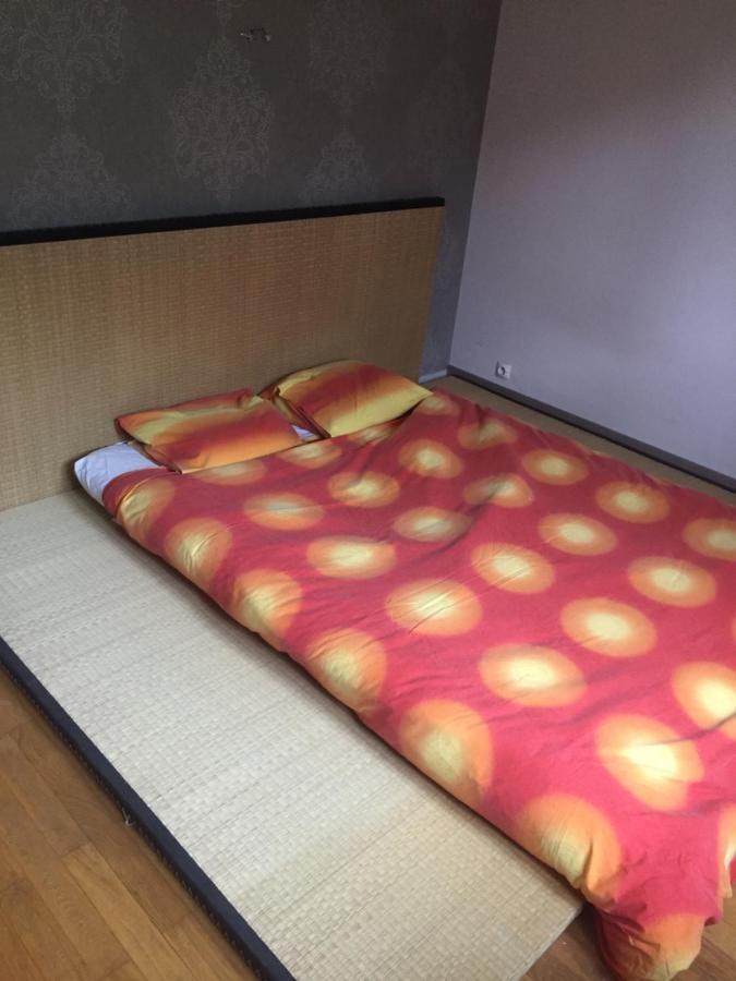 Chambre Double Futon Et Chambre Classique Au Coeur Du Vercors Saint-Agnan-en-Vercors Ngoại thất bức ảnh